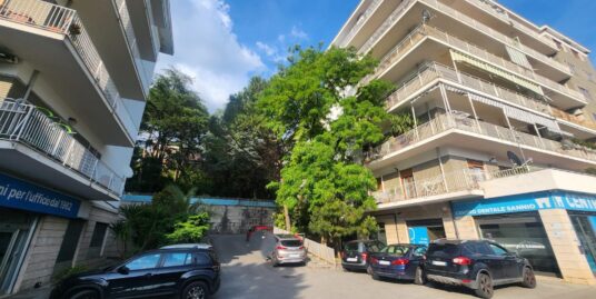 PARCO COLLARILE – 6 VANI