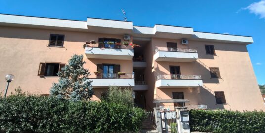 VIA PIO IX – 5 VANI